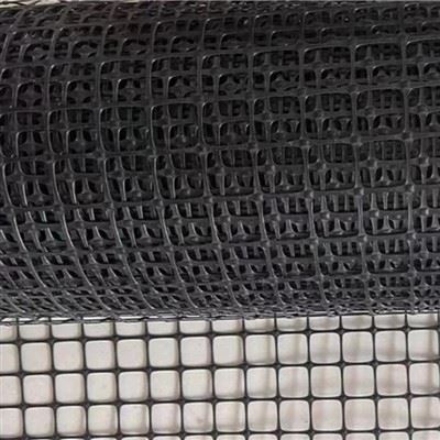 Plastist võrk